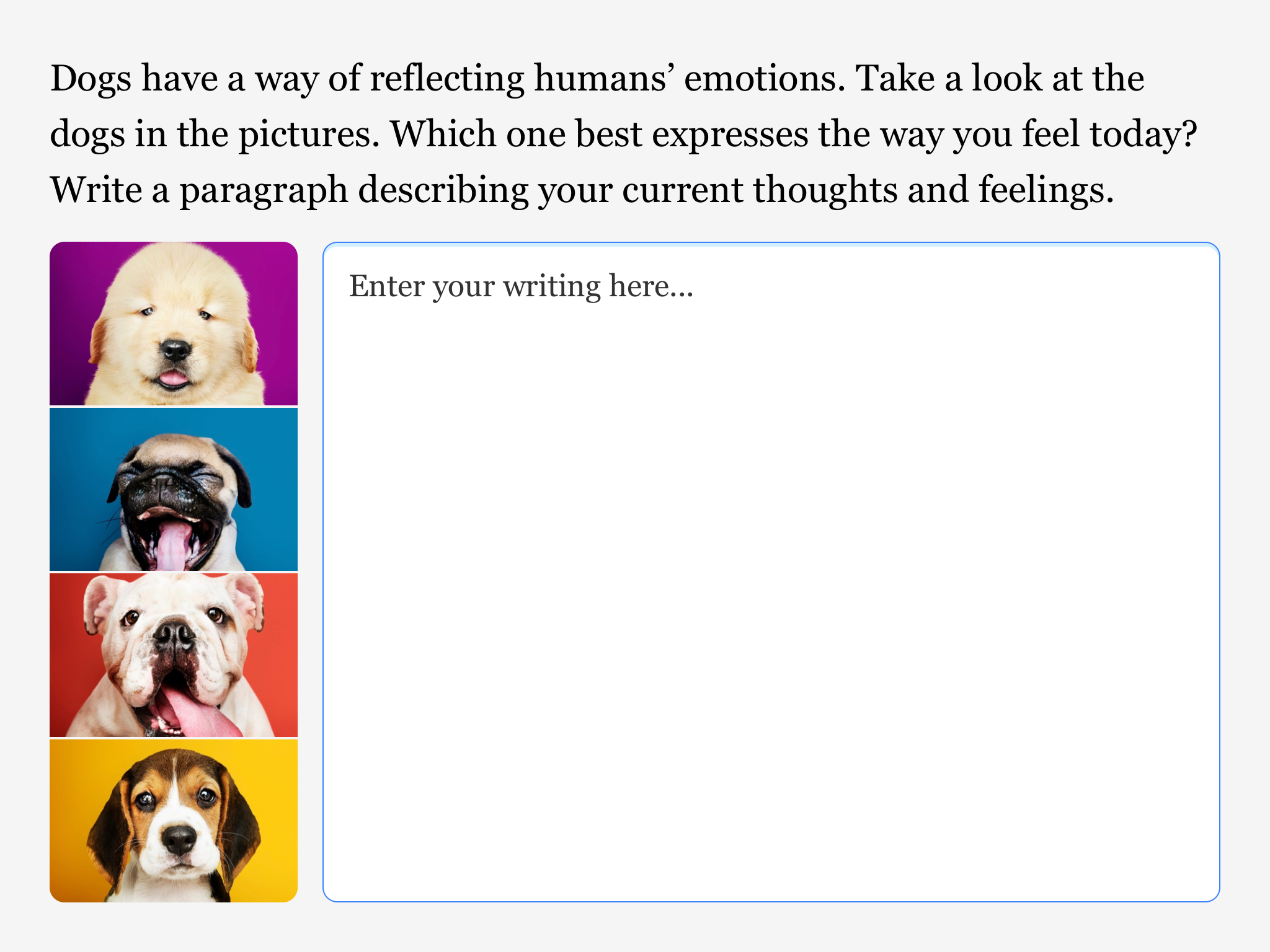 A large textbox students use to respond to the following prompt: "Dogs have a way of reflecting humans' emotions. Take a look at the dogs in the pictures. Which one best expresses the way you feel today? Write a paragraph describing your current thoughts and feelings."